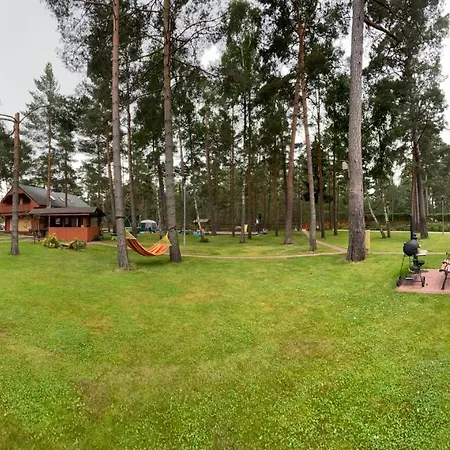 Salkoni *